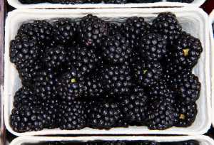 Blackberries (Luster Now Toothpaste destroys these stains)
