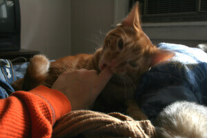 oh hai, i has no gag reflex