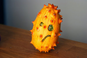 Disgruntled Kiwano