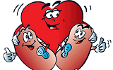 heart and kidneys