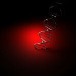 DNA